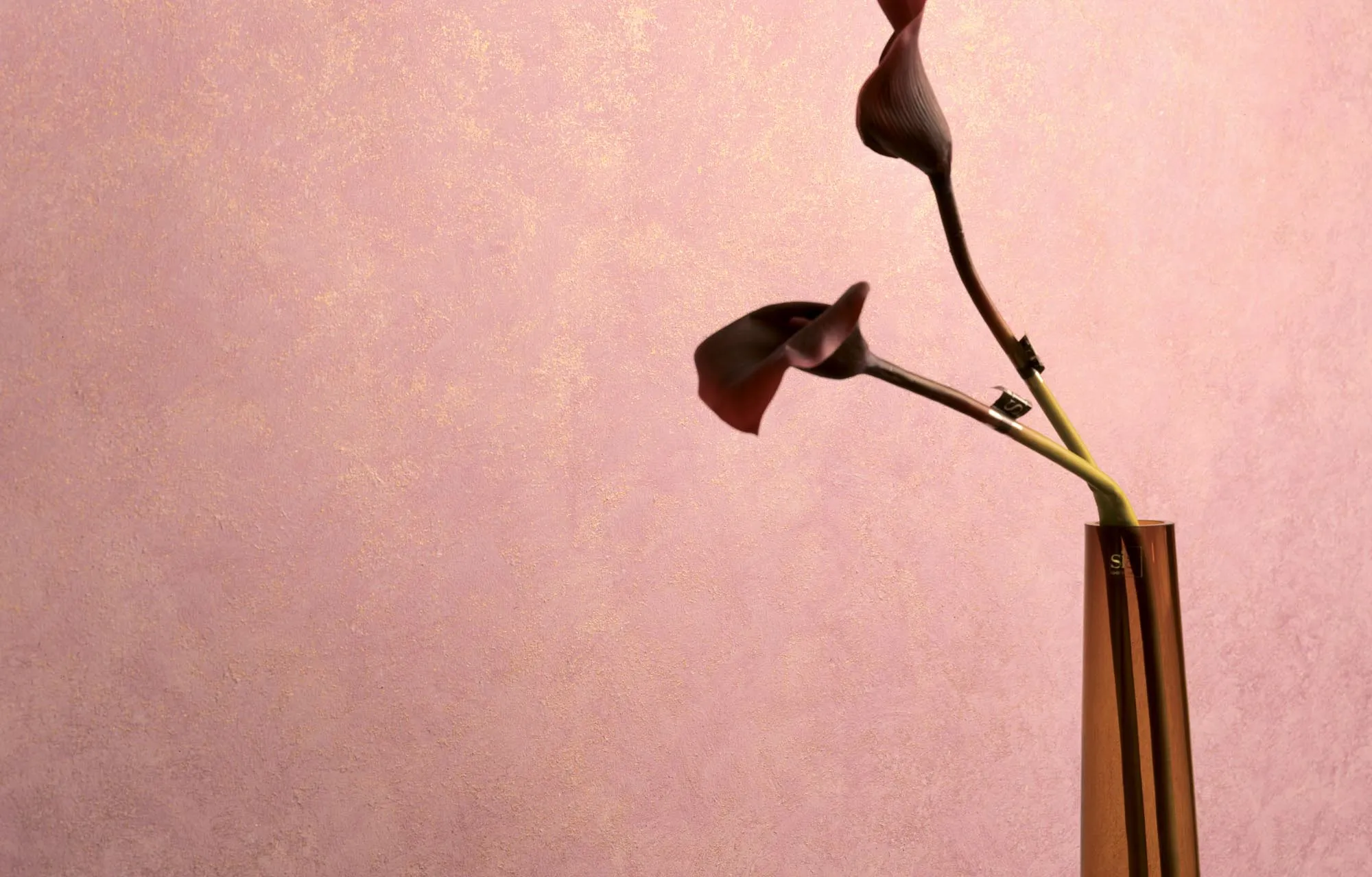 Decorà img